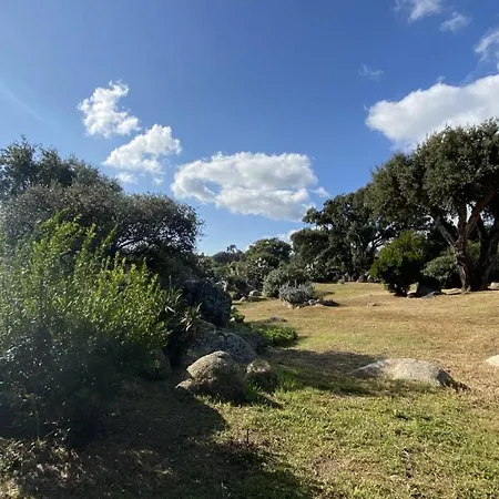 Belle Traditionnelle Vue Mer Avec Piscine A 1,5 Km De La Plage De Pinarello Villa