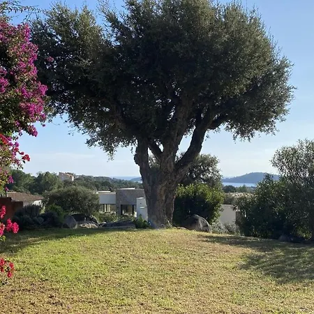 Belle Traditionnelle Vue Mer Avec Piscine A 1,5 Km De La Plage De Pinarello