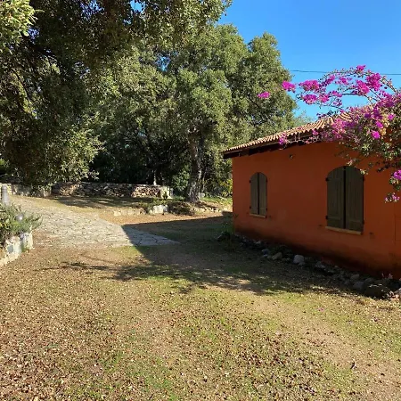 Villa Belle Traditionnelle Vue Mer Avec Piscine A 1,5 Km De La Plage De Pinarello