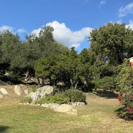 Belle Traditionnelle Vue Mer Avec Piscine A 1,5 Km De La Plage De Pinarello *