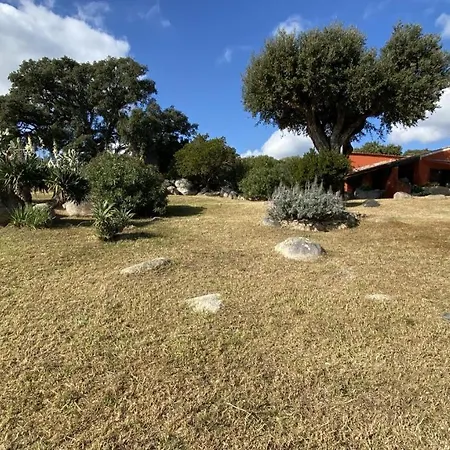 Villa Belle Traditionnelle Vue Mer Avec Piscine A 1,5 Km De La Plage De Pinarello *