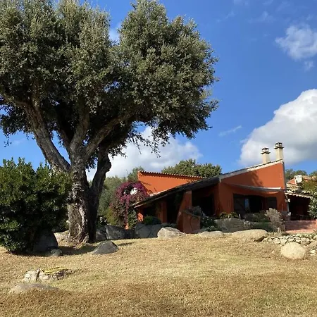 Villa Belle Traditionnelle Vue Mer Avec Piscine A 1,5 Km De La Plage De Pinarello *